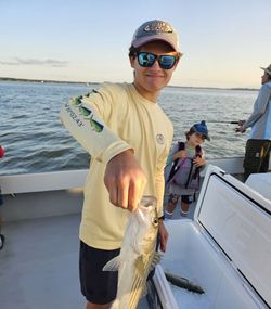 Striped bass caught by two people in Oxford