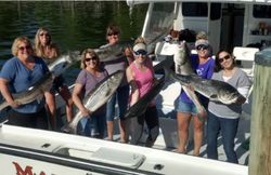 4 fish caught while fishing in MD