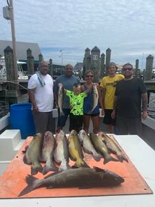 7 fishing rods with MD location