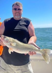 Explore Lake Ontario’s fishing spots.