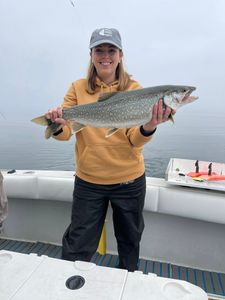 Clean Lake Ontario lake trout