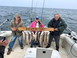 4 lake trout and rainbow trout caught in Mexico