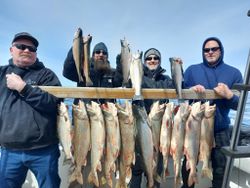 10 vibrant Atlantic Salmon and Rainbow Trout caught while fishing in Mexico