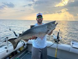 Chinook salmon caught while fishing in Mexico