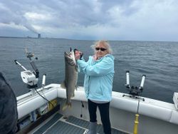 A fisherman holding a lake trout in NY