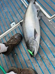 Fishing in New York City
