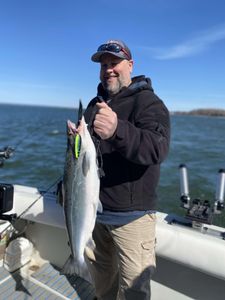 Angler fishing in NY