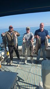 Stunning catch of 6 pink salmon in Mexico