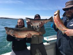 3 rainbow trout caught while fishing in NY