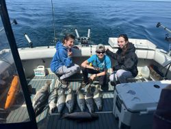 Three rainbow trout caught while fishing in NY