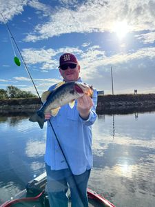 Angler holding caught bass fish on boat in Tavares FL waters