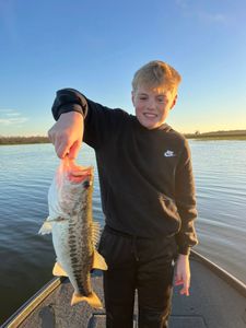 Bass fishing success on lake in Tavares FL with freshly caught largemouth bass
