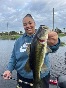 Bass fishing catch in Tavares FL showing freshwater bass with fishing rod