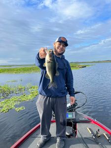 Bass fishing success on a boat in Tavares FL with freshly caught largemouth bass