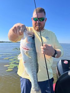 Angler holding freshly caught bass on fishing boat in Tavares FL