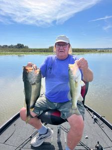 Successful fishing trip in Tavares FL showing two large bass caught from boat on lake