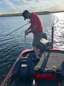 Bass fishing on lake in Tavares Florida with fish being caught from boat