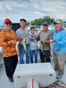 Ready for your next Lake Erie charter?
