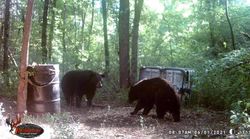 Community drive through for our bear!