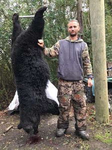 Congrats on this 243 lb bear in North Carolina!