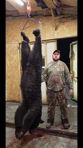 Lone hunter in Raleigh