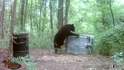 Hunting expedition in NC