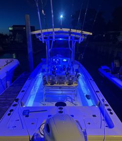 Peaceful nights and big catches daily!