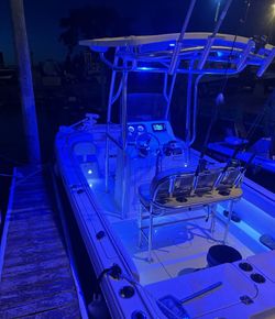 Fishing adventures with South Jersey Outfitters!