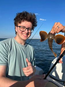 A striped searobin fish being caught while fishing in NJ