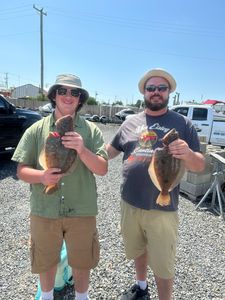 Summer flounder caught in Tuckerton fishing