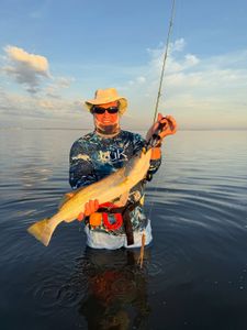 Best fishing at South Padre Island