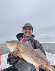 South Padre Island: Redfish Paradise