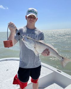 Redfish caught by angler in TX