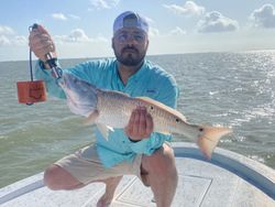 Redfish caught in TX