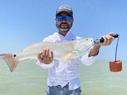 Redfish caught in TX