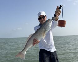 Redfish caught while fishing at South Padre Island