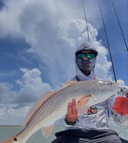 Redfish caught while fishing at South Padre Island