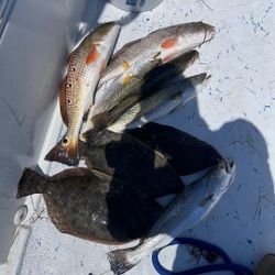 4 redfish caught at South Padre Island
