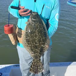 Southern Flounder fish caught while fishing at South Padre Island