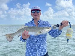 A spotted weakfish caught while fishing at South Padre Island