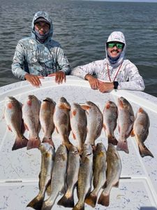 A group of 12 fish caught during a fishing trip at South Padre Island
