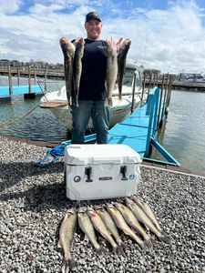 Family fun starts on Lake Erie!