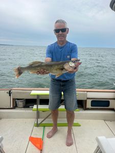 Affordable fishing trips, priceless memories! 