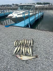 Let’s troll or cast for walleye today!