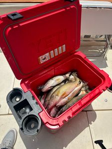 Reel in the fun in Port Clinton, OH! 