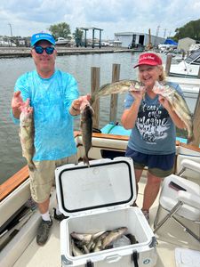 Cast your line, catch the Walleye memories! 
