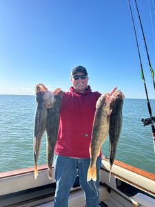 Walleye Hooked on Port Clinton fishing charters!