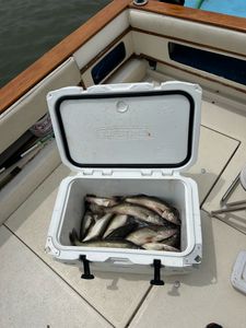 Port Clinton: where anglers thrive! 