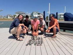 Five anglers displaying their black drum catch on wooden dock in Rockport TX
