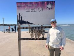 Four black drum fish displayed on fishing pier cleaning station in Rockport Texas